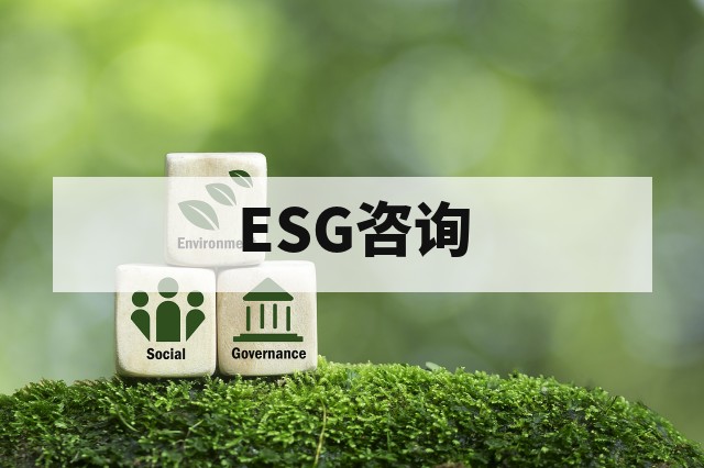 ESG项目实施步骤全解析:从启动到持续改进的标准化路径
